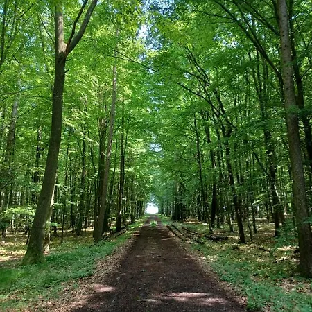 Lägenhet Am Sendberg